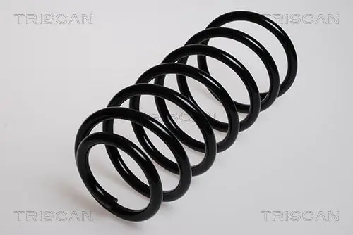 Handler.Part Coil spring TRISCAN 875029019 1