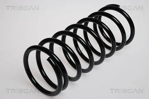 Handler.Part Coil spring TRISCAN 875029021 1