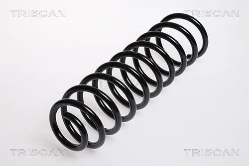 Handler.Part Coil spring TRISCAN 875029032 1