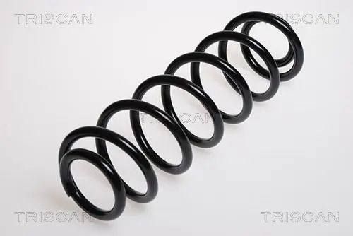 Handler.Part Coil spring TRISCAN 875029038 1