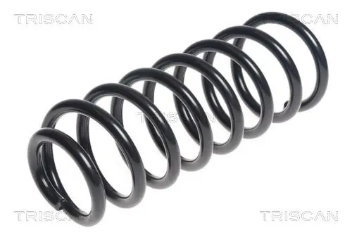 Handler.Part Coil spring TRISCAN 875029049 1