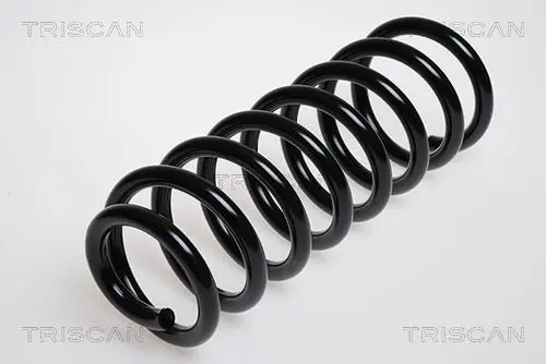 Handler.Part Coil spring TRISCAN 875029054 1