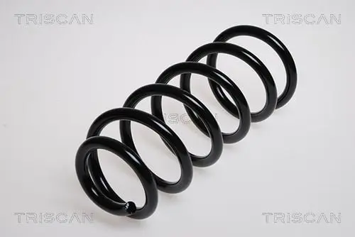 Handler.Part Coil spring TRISCAN 875029069 1