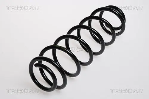 Handler.Part Coil spring TRISCAN 875029080 1