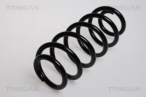 Handler.Part Coil spring TRISCAN 875029087 1