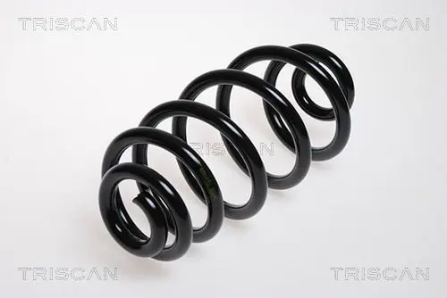 Handler.Part Coil spring TRISCAN 875029092 1