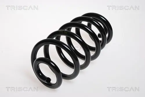 Handler.Part Coil spring TRISCAN 875029093 1