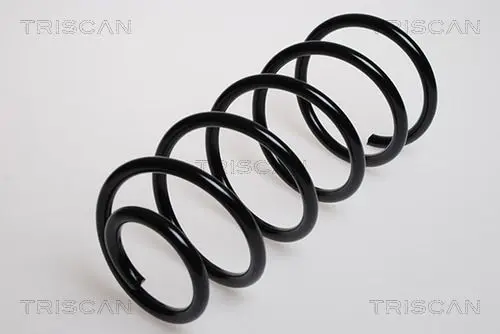 Handler.Part Coil spring TRISCAN 875029100 1