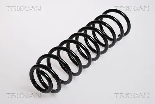 Handler.Part Coil spring TRISCAN 875029104 1