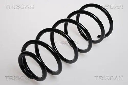 Handler.Part Coil spring TRISCAN 875029115 1