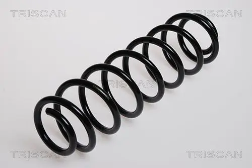 Handler.Part Coil spring TRISCAN 875029122 1