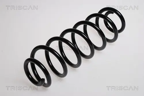 Handler.Part Coil spring TRISCAN 875029129 1