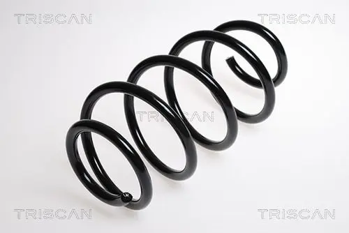 Handler.Part Coil spring TRISCAN 875029131 1