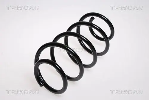 Handler.Part Coil spring TRISCAN 875029144 1