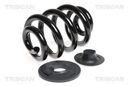 Handler.Part Coil spring TRISCAN 875029150 1