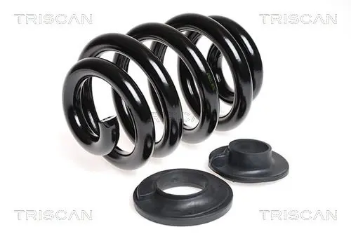 Handler.Part Coil spring TRISCAN 875029152 1