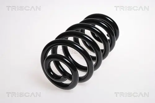 Handler.Part Coil spring TRISCAN 875029179 1