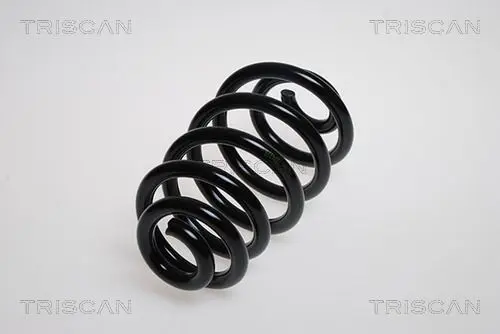 Handler.Part Coil spring TRISCAN 875029181 1