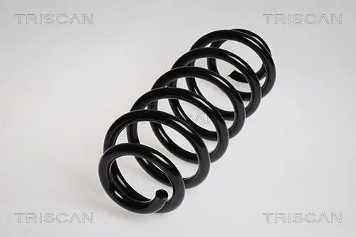 Handler.Part Coil spring TRISCAN 875029191 1