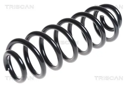 Handler.Part Coil spring TRISCAN 875029294 1