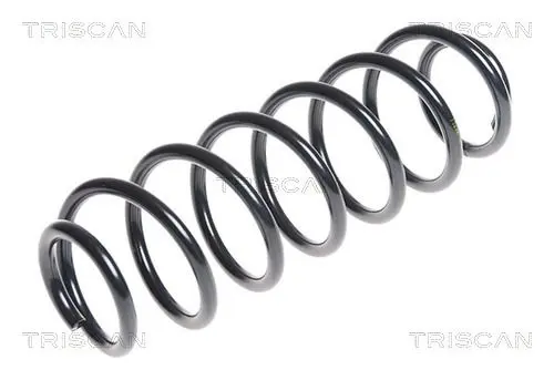 Handler.Part Coil spring TRISCAN 875029298 1