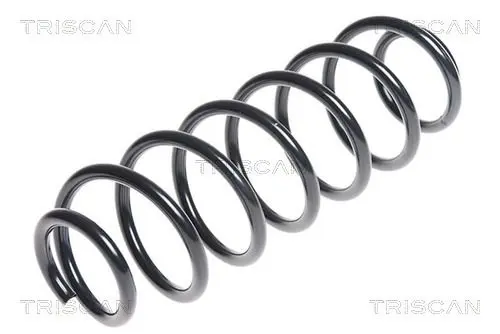 Handler.Part Coil spring TRISCAN 875029328 1