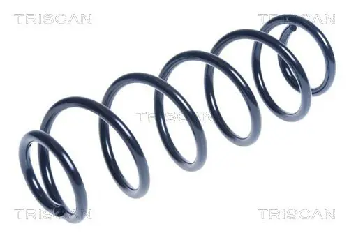 Handler.Part Coil spring TRISCAN 875029339 1