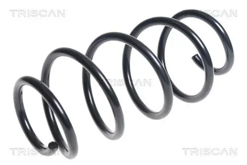 Handler.Part Coil spring TRISCAN 875029371 1