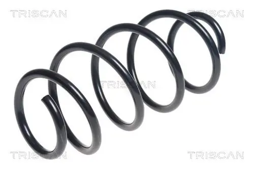 Handler.Part Coil spring TRISCAN 875029387 1