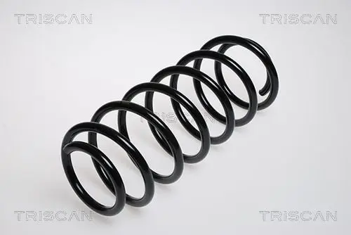 Handler.Part Coil spring TRISCAN 87502957 1