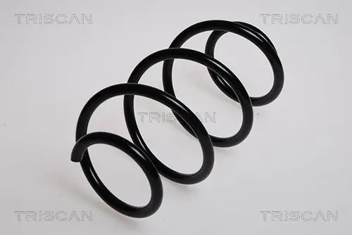 Handler.Part Coil spring TRISCAN 87504051 1