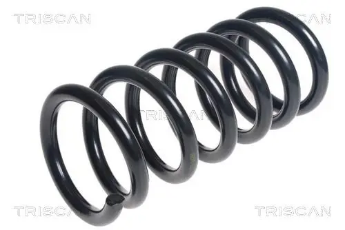 Handler.Part Coil spring TRISCAN 875042100 1