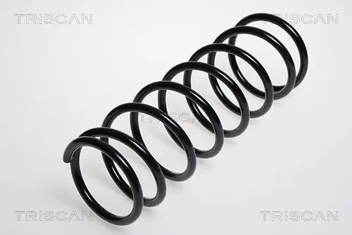 Handler.Part Coil spring TRISCAN 87504235 1