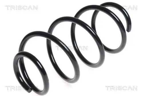 Handler.Part Coil spring TRISCAN 875043110 1