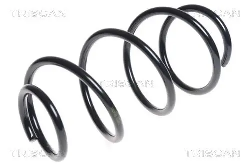 Handler.Part Coil spring TRISCAN 875043111 1