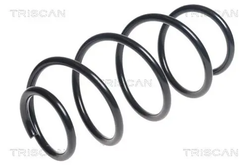 Handler.Part Coil spring TRISCAN 875043121 1