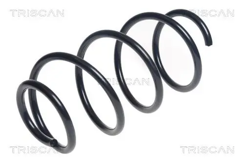 Handler.Part Coil spring TRISCAN 875043122 1