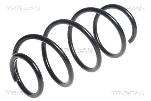 Handler.Part Coil spring TRISCAN 875043123 1