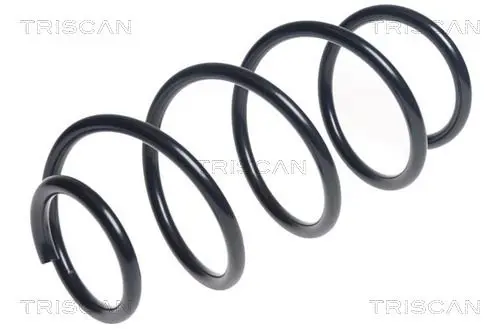 Handler.Part Coil spring TRISCAN 875043124 1