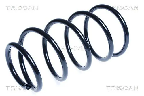 Handler.Part Coil spring TRISCAN 87504365 1