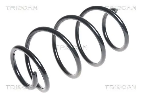 Handler.Part Coil spring TRISCAN 87504382 1