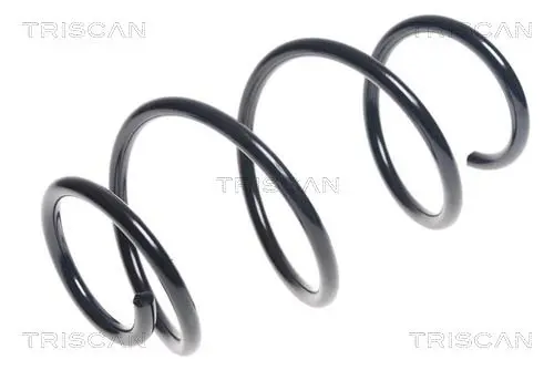 Handler.Part Coil spring TRISCAN 87504397 1