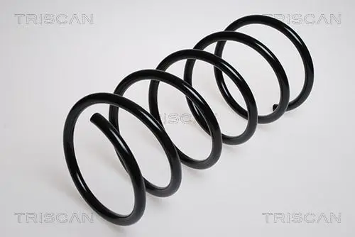 Handler.Part Coil spring TRISCAN 87505038 1