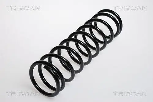 Handler.Part Coil spring TRISCAN 87505049 1