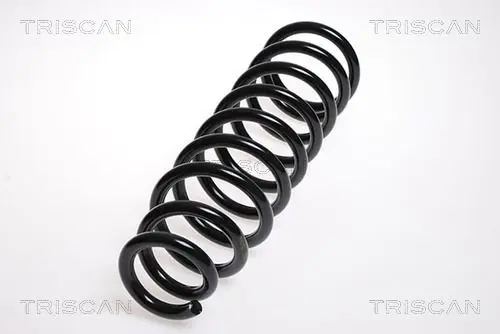 Handler.Part Coil spring TRISCAN 87505065 1