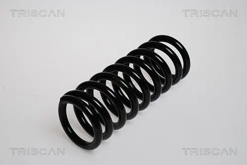 Handler.Part Coil spring TRISCAN 87506504f 1