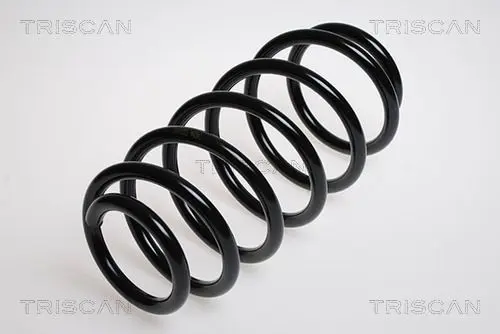 Handler.Part Coil spring TRISCAN 87506516 1