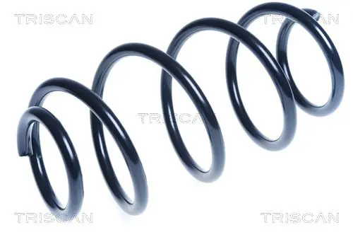 Handler.Part Coil spring TRISCAN 87506549 1