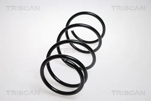 Handler.Part Coil spring TRISCAN 87506817 1