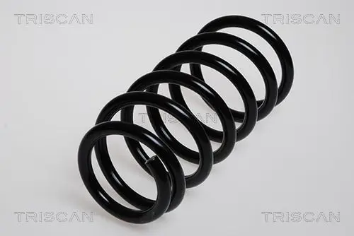 Handler.Part Coil spring TRISCAN 87506904 1